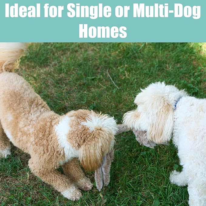 SPOT Skinneeez Rabbit 22 Inch Stuffing-Free Plush Dog Toy with Dual Squeakers – Long Interactive Chew Toy for Medium and Large Dogs – Mess-Free Play for Light & Moderate Chewers