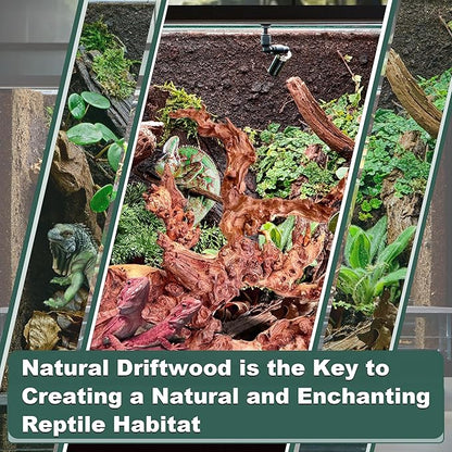 Natural Wood Coral Driftwood for Aquarium Fish Tank Decor,Assorted Driftwood Branch for Reptile Decor (Coral Driftwood Large (14 to18 Inch)-Pack of 1)