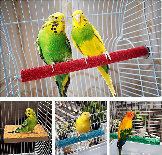 Bird Perches for Conure Stand Natural Wood Platform Bird Nail Trimming Perch Paw Grinding Stick for Parakeet Cockatiels Parrot Perch Bird Cage Accessories