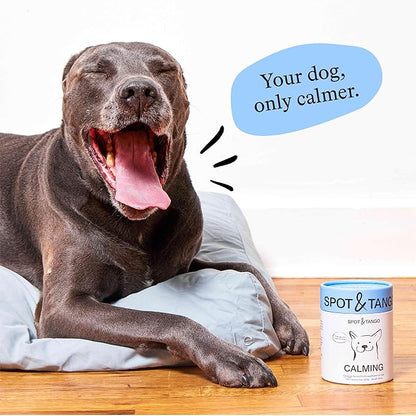 Spot & Tango Calming Supplements for Dogs - Vet-Approved for Anxiety and Stress Relief - L-Theanine, Passionflower, Ashwagandha, Chamomile - Flavored with Real Pineapple, 56 Count