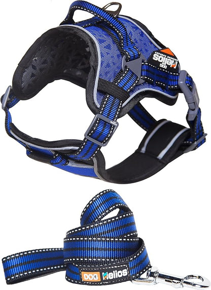 DOGHELIOS 'Journey Wander' Chest Compressive Sporty Adjustable Travel Pet Dog Harness and Leash Combination, Medium, Blue