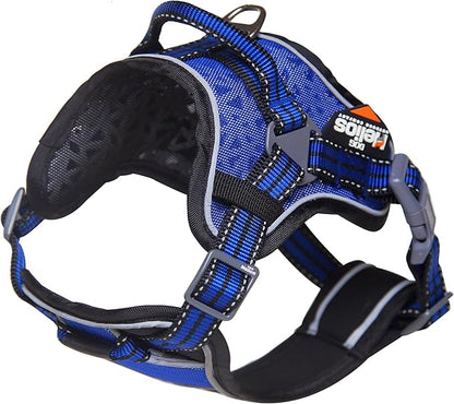 DOGHELIOS 'Journey Wander' Chest Compressive Sporty Adjustable Travel Pet Dog Harness and Leash Combination, Medium, Blue