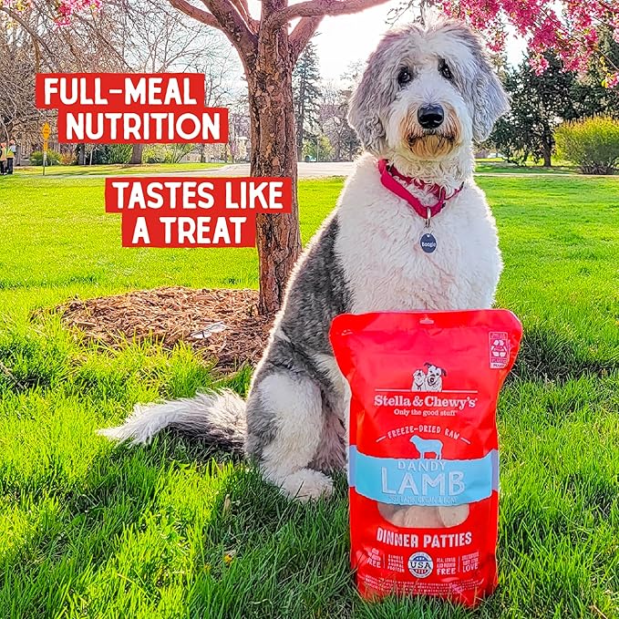 Stella & Chewy's Freeze Dried Raw Dinner Patties  Grain Free Dog Food, Protein Rich Dandy Lamb Recipe  14 oz Bag