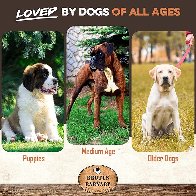 100% Natural Half Pig Ear Dog Treat, 40 pack, Our Healthy Dog Pig Ears Halves Are Easy To Digest, Chemical & Hormone Free Thick Cut Pig Ears For Dogs Aggressive Chewers, Great For Small Or Large Dogs