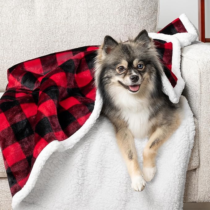 PetAmi Waterproof Dog Blanket for Small Medium Dog, Pet Puppy Blanket Couch Cover Protection, Sherpa Fleece Cat Blanket Couch Sofa Bed Furniture Protector Reversible Soft Washable 29x40 Checker Red