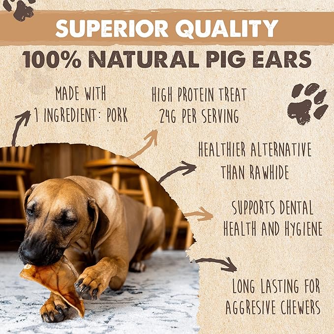 Mighty Paw Full Pig Ears for Dogs | All Natural Dog Treats. Single Ingredient Pig Ear Dog Treats. Better Than Rawhide Dog Snacks for Puppy and Large/Medium Dogs. Pigs Ears Dog Chews, Dog Pig Ears