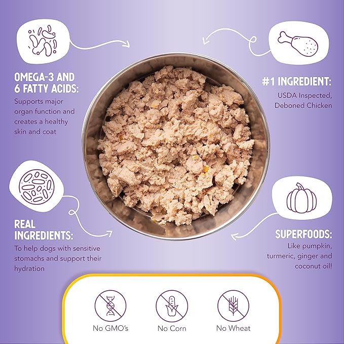 Health Extension Wet Dog Food Chicken & Pumpkin Entrée in Gravy, 9 oz - Digestive Support with Superfoods & Antioxidants for Immune Support (Case of 12 Cans)