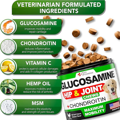 Vet Promise Glucosamine for Dogs - Hip and Joint Supplement for Dogs - Glucosamine Chondroitin - Joint Pain Relief Pills - MSM - Advanced Health Support Supplement - 120 Mobility Chews - Made in USA