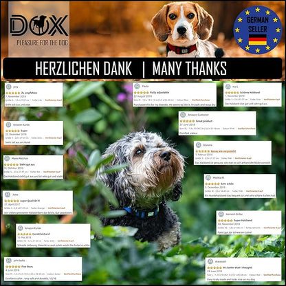 DDOXX Nylon Dog Collar - Reflective & Adjustable - for Dogs Large & Small - Collar for Dogs, Cats & Puppies - Large Wide Dog Collars/Cat Collars/Puppy Collars - Dog Accessories - Purple, M