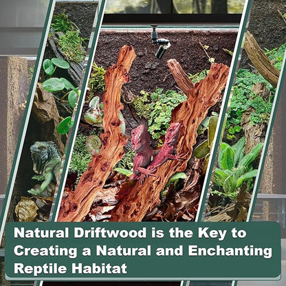 Natural Wood Driftwood for Aquarium Fish Tank Wood,Extra Large Trunk Driftwood for Reptile Tank Decor (SLM-Trunk M (13 to15 Inch)-Pack of 2)