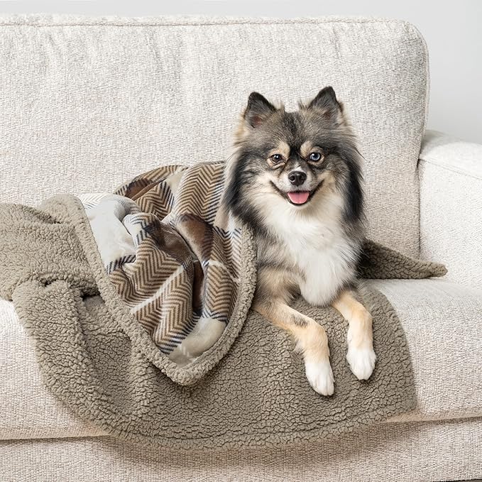 PetAmi Waterproof Dog Blanket for Small Medium Dog, Pet Puppy Blanket Couch Cover Protection, Sherpa Fleece Cat Blanket Couch Sofa Bed Furniture Protector Reversible Soft Washable 29x40 Plaid Taupe