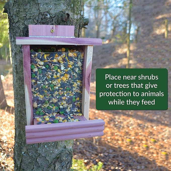 Lyric Wildlife Critter Food for Deer, Squirrels, Turkeys & Rabbits Wild Bird Seed - 10 lb Bag