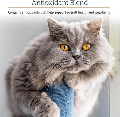 Rx Vitamins Onco Support - Dog & Cat Immune Support Supplement with Milk Thistle, Spirulina, Kelp Powder - Aids in Gut Health and Digestive Support - 300g