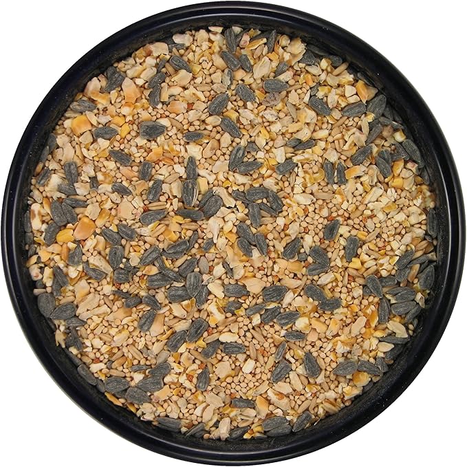 SLEEK & SASSY Premium Wild Bird Food (5 lbs.)