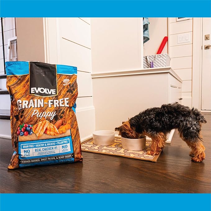 Evolve Grain Free Puppy Dog Food with Deboned Chicken, Sweet Potato & Berry, 4lb