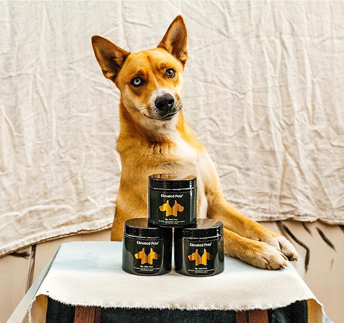 Ultra-Healthy Omega 3 Fish Oil Treats w/MSM, Glucosamine, Chondroitin, EPA/DHA for Dogs: Elevated Pets Fish Oil, Turmeric & Joint Supplement + Allergy Chews - Ultimate Dog Vitamin Supplement