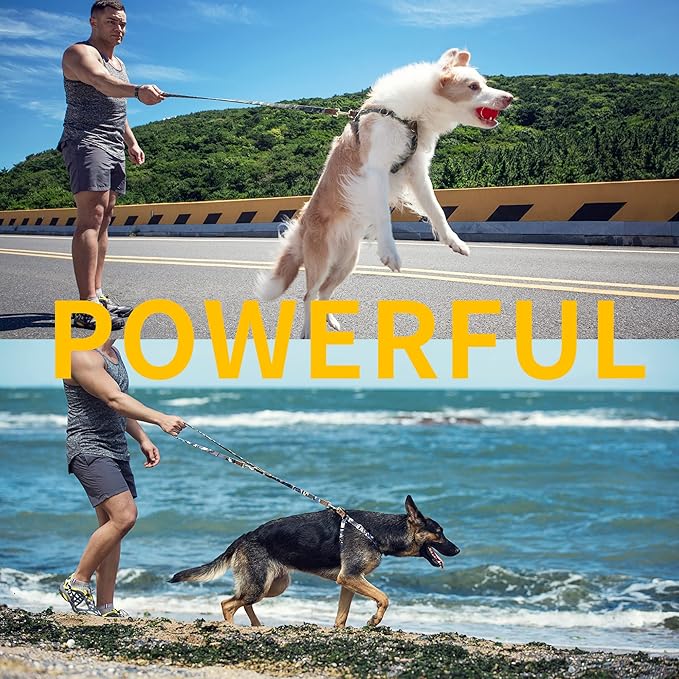 Dog Harness, No Pull Dogs Harness and Multi-Function Leash Set for Medium Dogs Easy Walk Everyday Adjustable Soft Dog Vest Harness Fashionable Dog Accessories Camouflage Blue-L