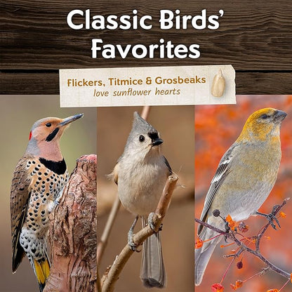 Morning Song Sunflower Hearts & Chips Wild Bird Seed  10 lb. Premium No Mess, Shell-Free Bird Food for Outside Feeders