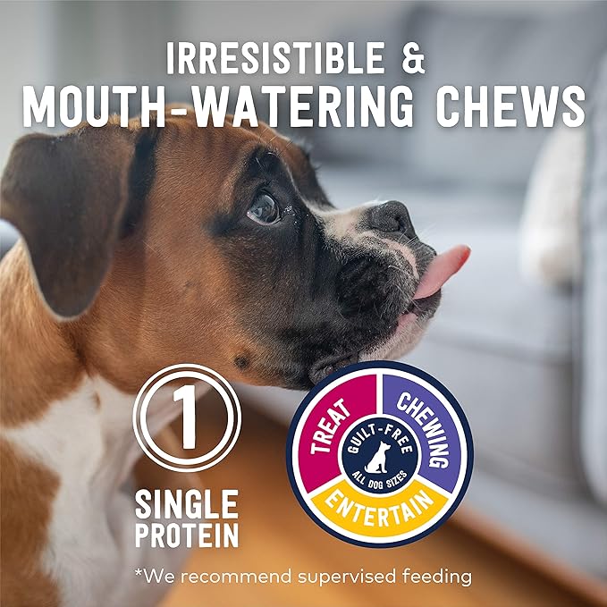 ZIWI Dog Chews and Treats  Lamb Trachea - All Natural, Air-Dried, Single Protein, Grain-free, High-Value Treat, Snack, Reward 2.1 Ounce (Pack of 1)