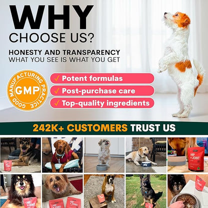 Petz Park Glucosamine for Dogs - Hip & Joint Support Powder with Chondroitin & MSM - Arthritis Pain Relief, Hip Dysplasia Treatment - 800mg Glucosamine - 90 Scoops