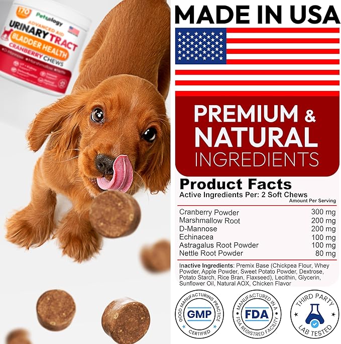 Dog UTI Treatment - 170 Cranberry Chews for Dogs - Urinary Tract Infection, Bladder & Kidney Health Multivitamin - Cranberry Supplement for Dogs with D-Mannose - Dog Vitamins and Supplements