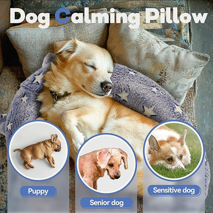 Dog Calming Pillow, Glow in The Dark Dog Put Head on, Soft Question Mark Pillows for Dogs, Kids, Adults, Washable Dog Bed Pillow, Cozy Dog Body Pillow Gifts (L Blue)