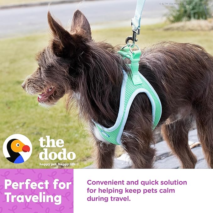 The Dodo Calming Shampoo & Spray for Dogs Twin Pack; 12oz Calming Dog Shampoo + 12oz Calming Dog Spray with Lavender and Chamomile; Vegan, Cruelty-Free, No DEA, MEA, SLS or Parabens