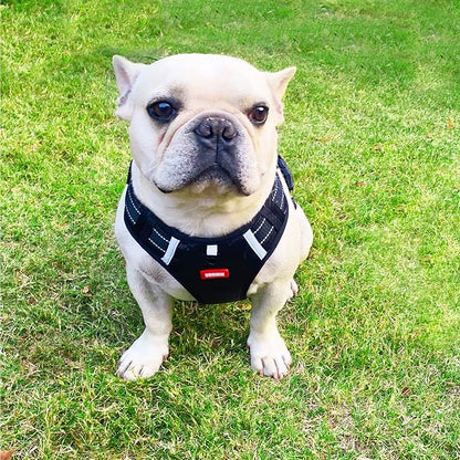 Dog Harness with Soft Handle, Adjustable and Breathable Dog Harness for Small Dogs No Pull, Reflective No Choke Dog Vest Harness, Easy to Put On Take Off(Black, S)