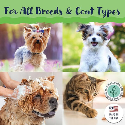 Bobbi Panter Dog Shampoo and Conditioner - Made in USA - All Natural 2-in-1 Formula for Detangles & Reduces Shedding - Concentrated 10:1 for Professional Groomers - Pear Scent, 13 Oz (Case of 12)