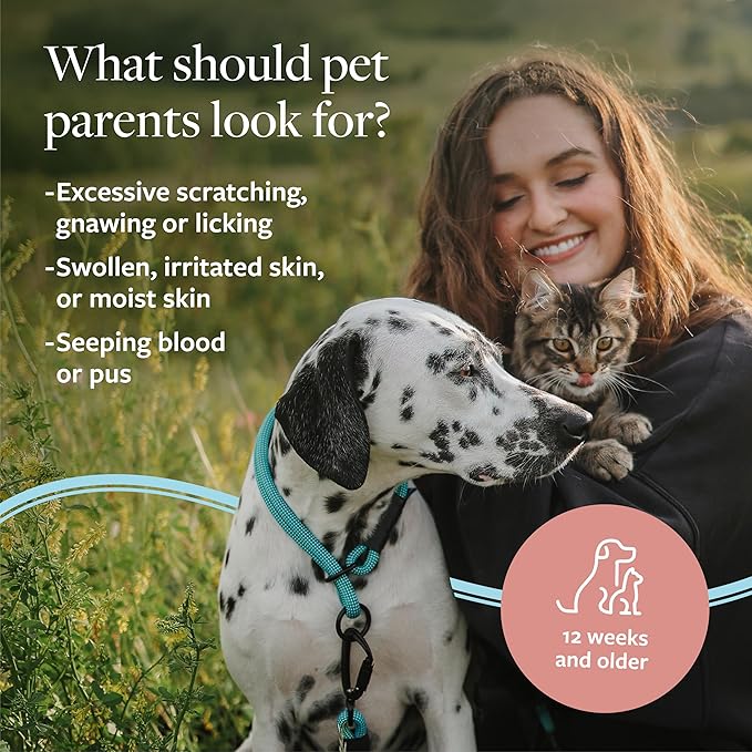 Veterinary Formula Clinical Care Hot Spot & Itch Relief Medicated Shampoo for Dogs and Cats 16 Fl Oz  Helps Alleviate Sensitive Skin, Scratching, and Licking of Coat (2 Pack)