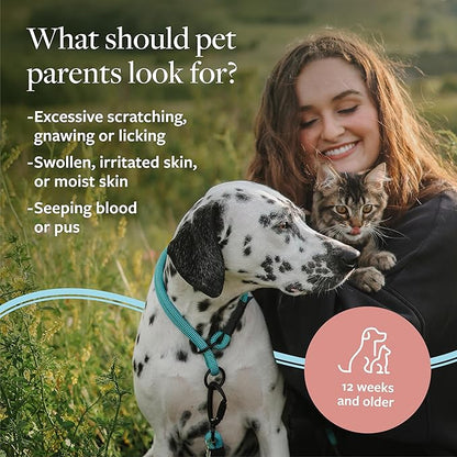 Veterinary Formula Clinical Care Hot Spot & Itch Relief Medicated Shampoo for Dogs and Cats 16 Fl Oz  Helps Alleviate Sensitive Skin, Scratching, and Licking of Coat (2 Pack)