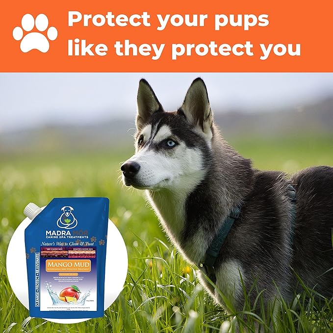 Worldwide Nutrition Bundle: Madra Mor Mango Mud - Dog Essentials Mud Bath, Dog Grooming, Dry Skin for Dogs Treatment, Dog Coat Skin Care Products - 10oz Pouch & Multi-Purpose Key Chain