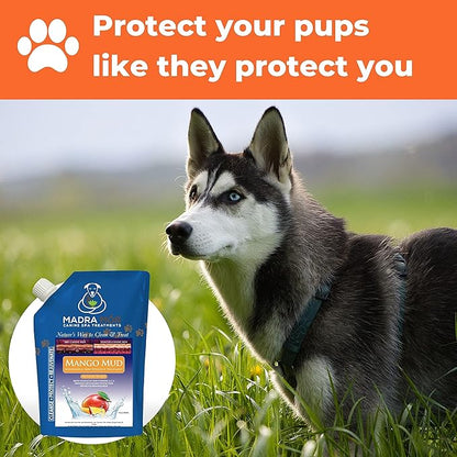 Worldwide Nutrition Bundle: Madra Mor Mango Mud - Dog Essentials Mud Bath, Dog Grooming, Dry Skin for Dogs Treatment, Dog Coat Skin Care Products - 10oz Pouch & Multi-Purpose Key Chain