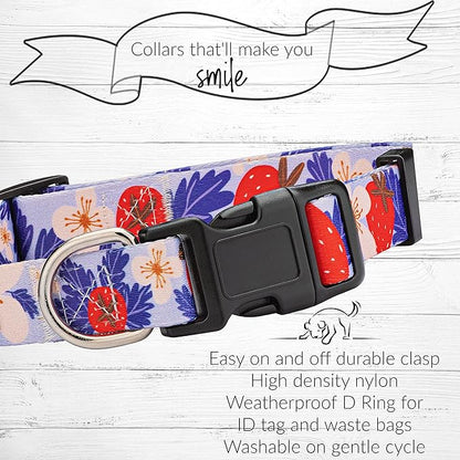 Lucky Love Dog Collars, Strawberry Cute Girl Dog Collar, Medium Dog Collars for Females, Part of Purchase Donated to Rescue (Medium, Sweet Berry, Collar)