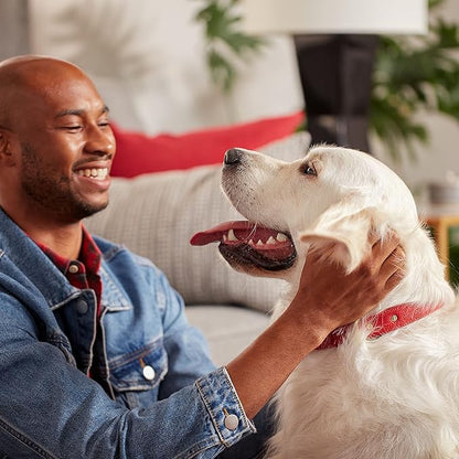 Milk-Bone Peanut Butter Flavor Naturally & Artificially Flavored Dog Biscuits - Crunchy Dog Treats - 7 Pounds (Packaging Design May Vary)