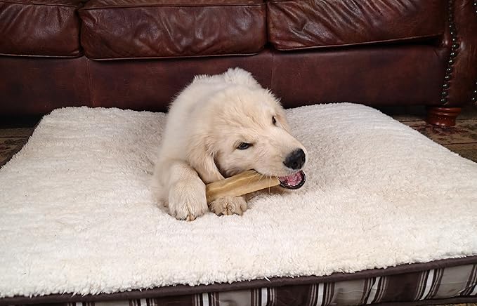 Himalayan Yak Snak Dog Chew - Assorted Size 3 Pack - Hard Cheese Snack Chews for Your Dog or Puppy Made from Yak Milk - All Natural - No Preservatives - Healthy - Limited Ingredients (Assorted 3-Pack)