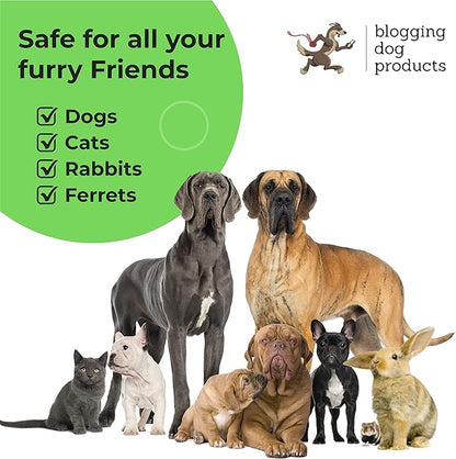 Dog Perfume Spray Long Lasting - Pet Odor Eliminator - Dog Cologne Spray - Premium Dog Deodorant Spray for Smelly Dogs - Refreshing Dog Deodorizer Spray for Grooming