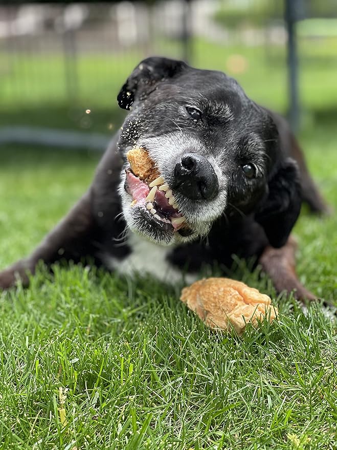 Devil Dog Pet Co. HimalayaFn Yak Chews Nuggets 1 Pound Bag  Natural & Nutrient Dense Dog Treats, Cheesy Himalayan Yak Puffs  Promotes Dental Health, Easy to Digest & Suitable for All Dogs