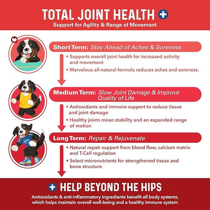 Bernie's Marvelous Mobility - Daily Total Joint Support for Dogs - 90 Soft Chews - Maintain & Rebuild Mobility, Supports Joint Tissue Health