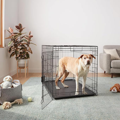 Amazon Basics Durable, Foldable Metal Wire Dog Crate with Tray, Single Door, 48 x 30 x 32.5 in, Black