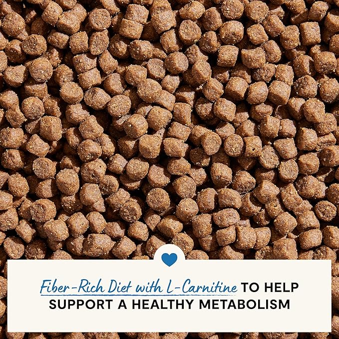 Open Farm, Healthy Weight Dog Food, Veterinarian Formulated High-Protein & Low-Calorie Dry Dog Food for Weight Management, Supports Metabolism & Mobility, Chicken & Whitefish Recipe, 22lb Bag