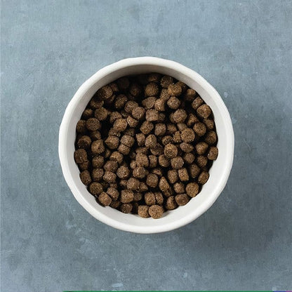 Evolve Grain Free Deboned Salmon & Sweet Potato Recipe Dog Food, 12 lb.