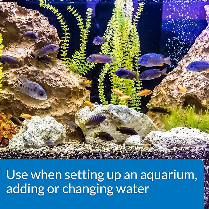 API TAP WATER CONDITIONER Aquarium Water Conditioner, 64-Ounce,White