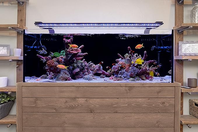 Current USA 36-48" Inch Orbit Marine LED Saltwater Reef Marine Aquarium Light | 24 Hour IR Lighting & eFlux Wave Pump Control | Adjustable Color Spectrum for Fish Tank (4102)