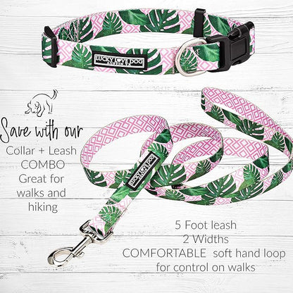 Lucky Love Dog Collars | Girl, boy Dog Collar for Small Medium Large Dogs - Comfortable, Soft, Cute - Laguna, Medium