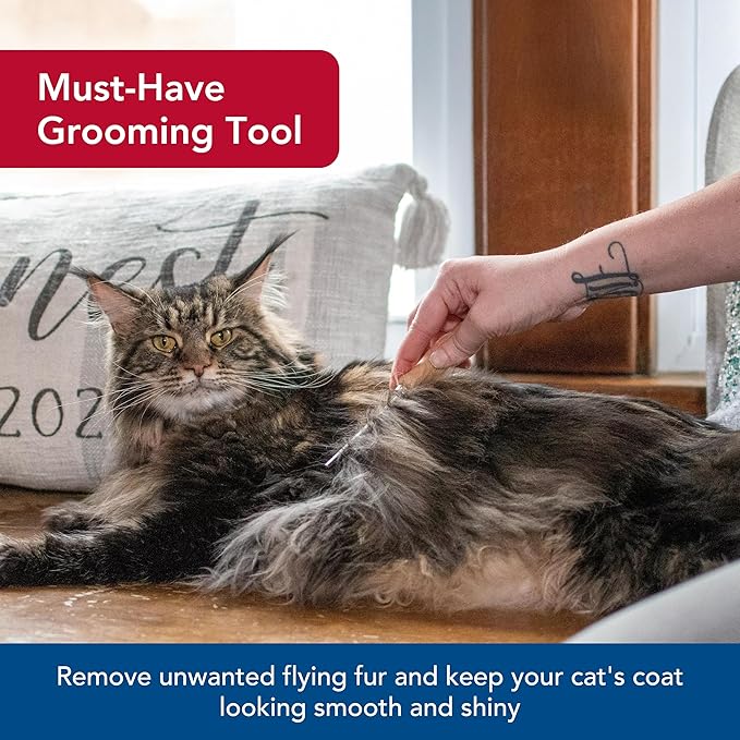 Coastal Pet Safari Cat Shedding Comb - Prevents Hairballs - Daily-Use Cat Deshedding Brush - for Cats with Short and Long Hair - One Size