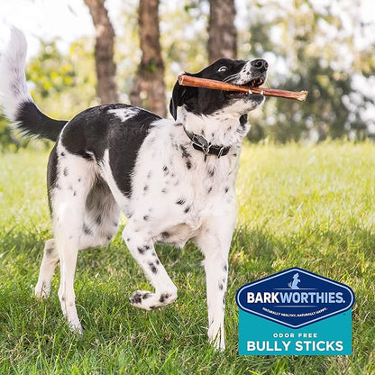 Barkworthies Odor-Free 12-inch Bully Sticks - Healthy Dog Chews - Protein-Packed, Easily digestible, All-Natural Rawhide Alternative Dog Treats - Promotes Dental Health - 3 Count (Pack of 3)