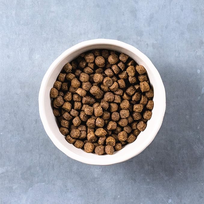 Evolve Grain Free Puppy Dog Food with Deboned Chicken, Sweet Potato & Berry, 4lb