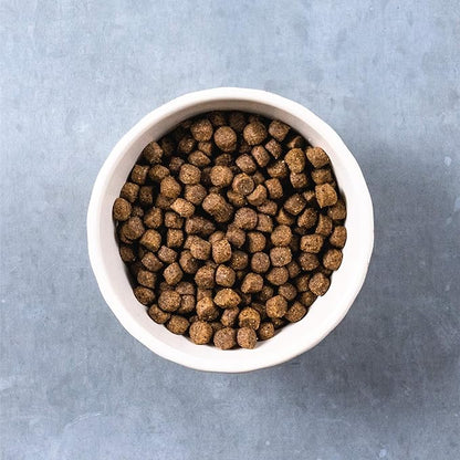 Evolve Grain Free Puppy Dog Food with Deboned Chicken, Sweet Potato & Berry, 4lb