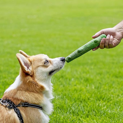 Petstages Dogwood Wood Durable Dog Chew Toys, Real Wood & Mint, 2-Pack, Large